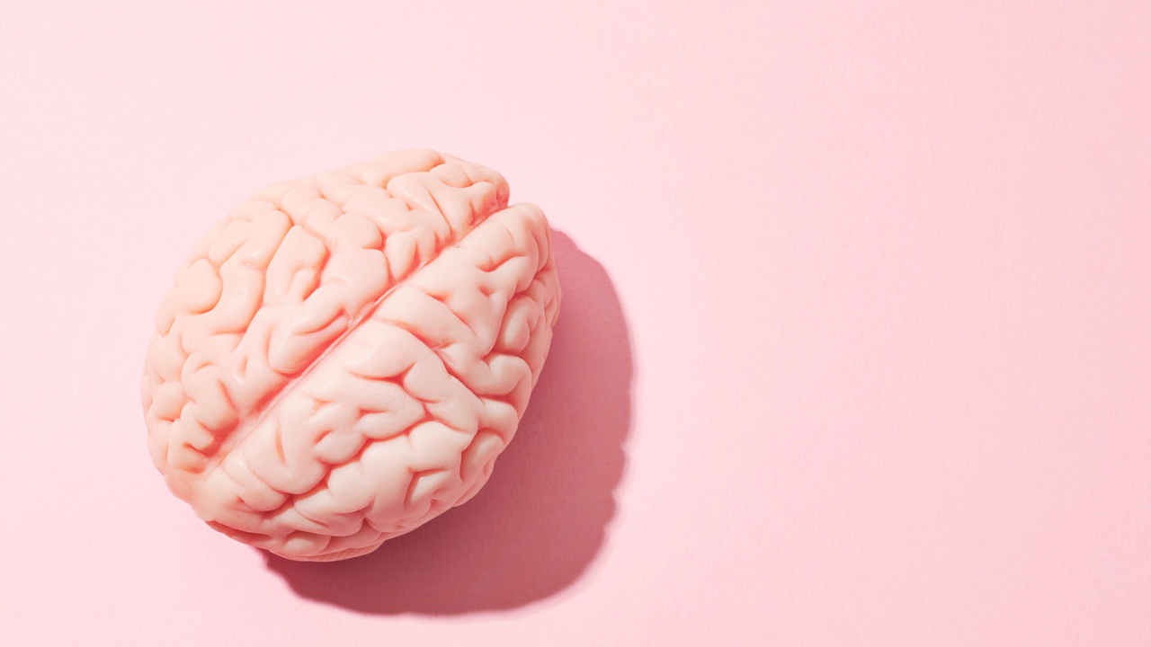 🧠 3 Tips for those interested in Dance Science