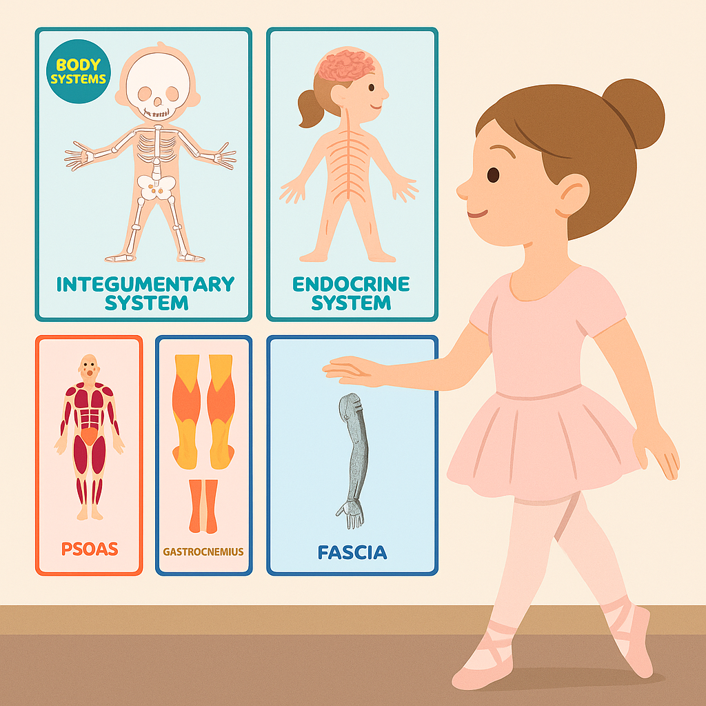 The Flashcards - Young