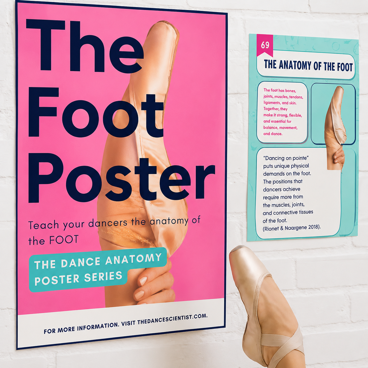 Foot Foundation Posters