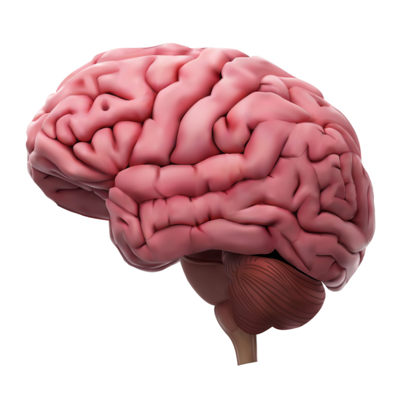 multicolumns-item-image-1