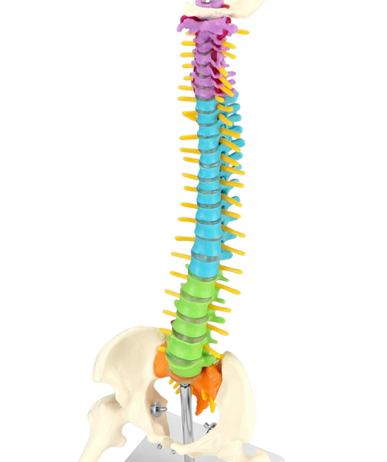 multicolumns-item-image-3