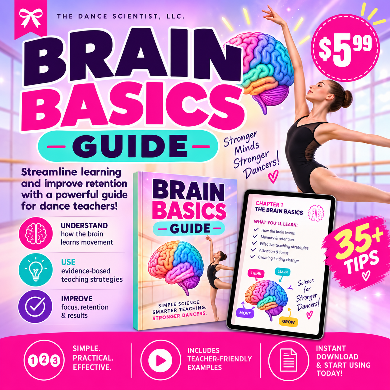 Brain Basics Guide